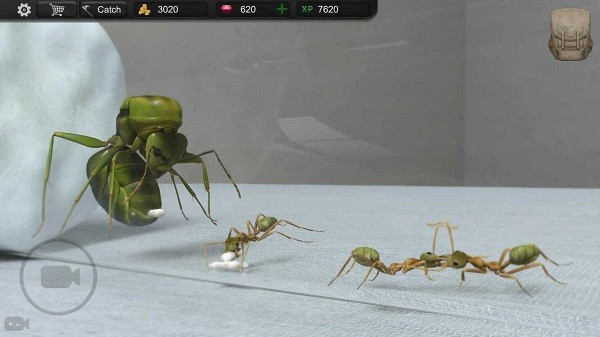 蚂蚁模拟大亨最新版