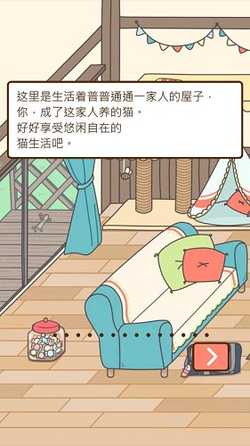 猫咪饲养日常中文免费版
