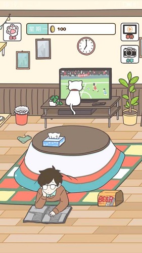 猫咪饲养日常中文免费版