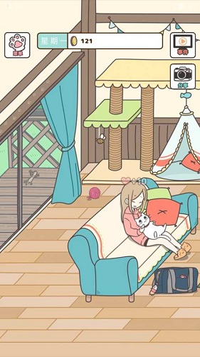猫咪饲养日常中文免费版