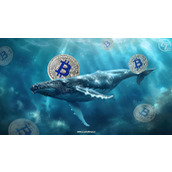 比特币巨鲸在Hyperliquid上1.6亿美元空头引发内幕嫌疑