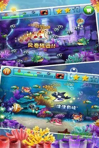 大鱼吃小鱼2内购正式版