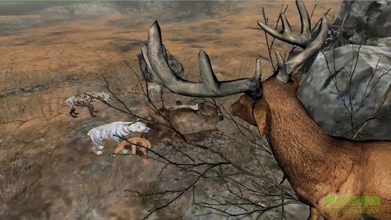 鹿的一生中文修改版(life of deer)