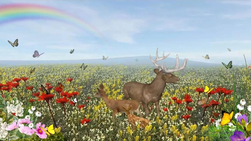 鹿的一生中文修改版(life of deer)