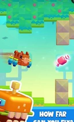 Jelly Copter