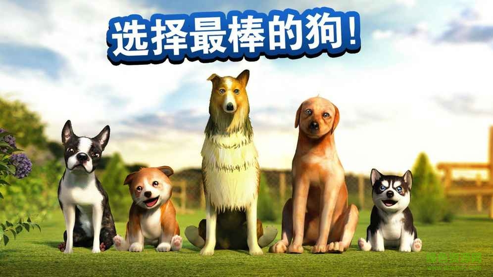 小狗模拟器内购修改版(DogSimulator)