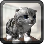 终极猫咪模拟最新版(Cat Simulator)