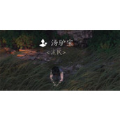 燕云十六声汤驴宝聊天对话攻略分享
