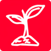 红豆苗app