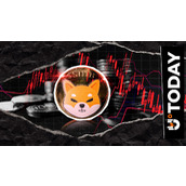 柴犬币（SHIB）归零或不可避免，十一月价格历史揭示