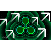投资者是否在为XRP在11月实现88%反弹而布局？