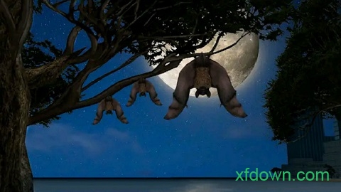 大眼蝙蝠大冒险游戏