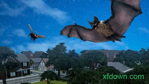 大眼蝙蝠大冒险游戏