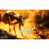 蚂蚁帝国修改器最新版下载 蚂蚁帝国风灵月影修改器