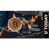 顶级链上专家揭示：当前比特币价格反弹的三大关键触发因素