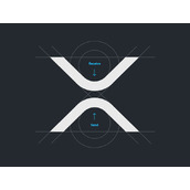 XRP托管公司存在风险？专家解析为何企业不应持有该代币