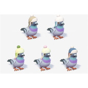 心动小镇沸雪浴场5个鸟类攻略