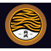 绝区零琉音驱动盘搭配攻略