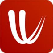 windyty中文手机版