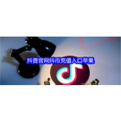 抖音官网苹果版抖币充值入口在哪