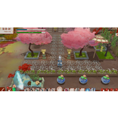 一方灵田霸王树怎么种 霸王树种植方法