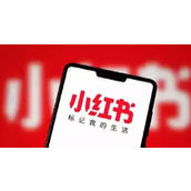 小红书网页版免登录入口 - 官方正版免登录网页版