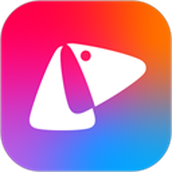 小佩宠物中文版