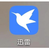 迅雷app磁力链是什么怎么用-迅雷磁力链前缀格式解析