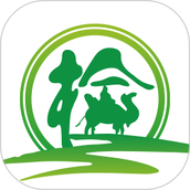 丝路车检客户端