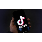 tiktok国际版下载色板入口渠道-tiktok国际版2026最新官网下载通道