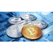 11月Solana链上USDC发行量突破80亿美元