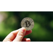 比特币四年周期失灵了吗-哪些规律依旧成立