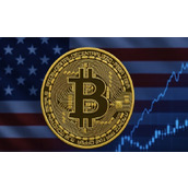 全球比特币规模榜单-2026年度十大领跑者深度解析