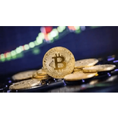 LEO币支持哪些交易所交易-挑选平台的核心标准有哪些