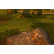 魔兽世界怀旧服Plus奇怪的动物刷新位置一览