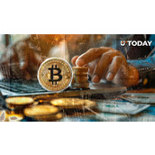 “我每天都买比特币”：全球智商最高持有者