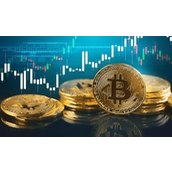 2026年山寨币热潮将至？资金去向何方？这次有何不同