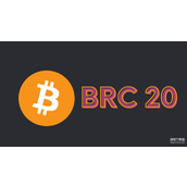 BRC-20代币究竟是什么-它在比特币生态中扮演什么角色-