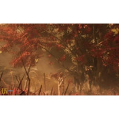 光与影33号远征队法棍彩蛋：光与影33号远征队哪里可以买到彩蛋法棍