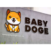 萌宠币（BabyDoge）是啥？能干啥？前景怎样？