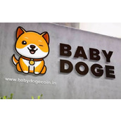 宝贝狗币(BabyDoge)是什么？价格走势解析与未来展望
