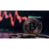 数字货币软件排行前十名-最新热门数字货币软件下载