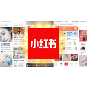 小红书网页版入口导航-多端一键跳转全网聚合