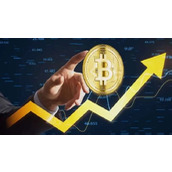 如何构建稳健的加密资产组合穿越牛熊周期