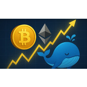 "无法停止购买的巨鲸：比特币元老在价格飙升后将以太坊多头头寸增至2.8亿美元"