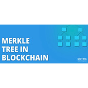 Merkle树怎样验证交易所储备金——真能确保资金安全吗