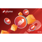 PLUME代币核心用途解析-治理与质押机制深度揭秘