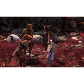 光与影33号远征队玛埃尔bd思路：玛埃尔武器与加点体系推荐