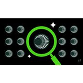Plasma (XPL)是什么币？值得投资吗？深度解析XPL投资价值与未来前景