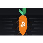 比特币Taproot升级详解-Taproot如何增强隐私与效能
